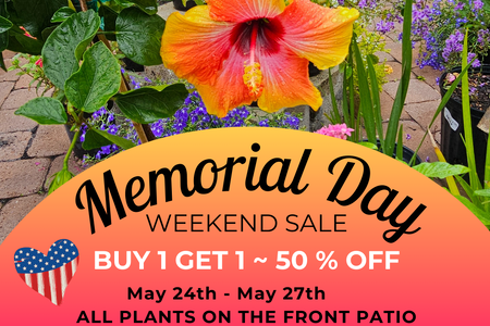 Hibiscus Flower Memorial Day Sale at The Yard