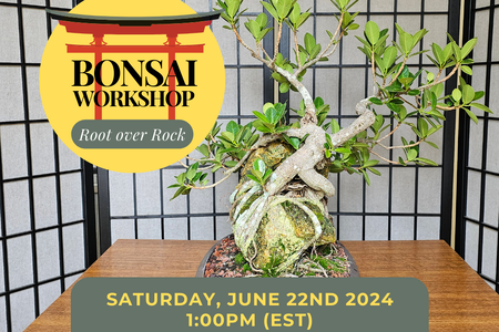 Announcement for Root Over Rock Bonsai Workshop at The Yard