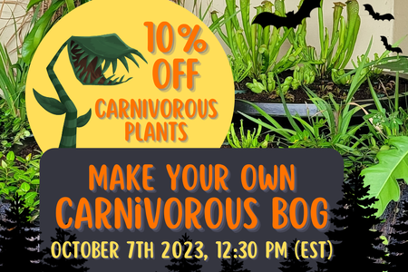 Ad with carnivorous bog plants